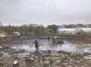 城子河河道鱼塘清淤